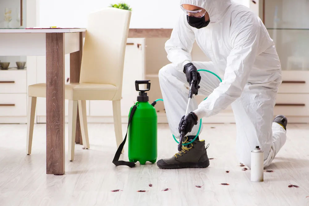 Rural desert pest control service Roll Arizona 85347 outbuilding treatment